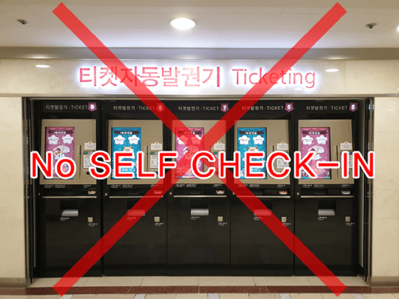 COMBO: Lotte World Adventure Seoul + Lotte World Aquarium + Seoul Sky Observatory Tickets - image 15
