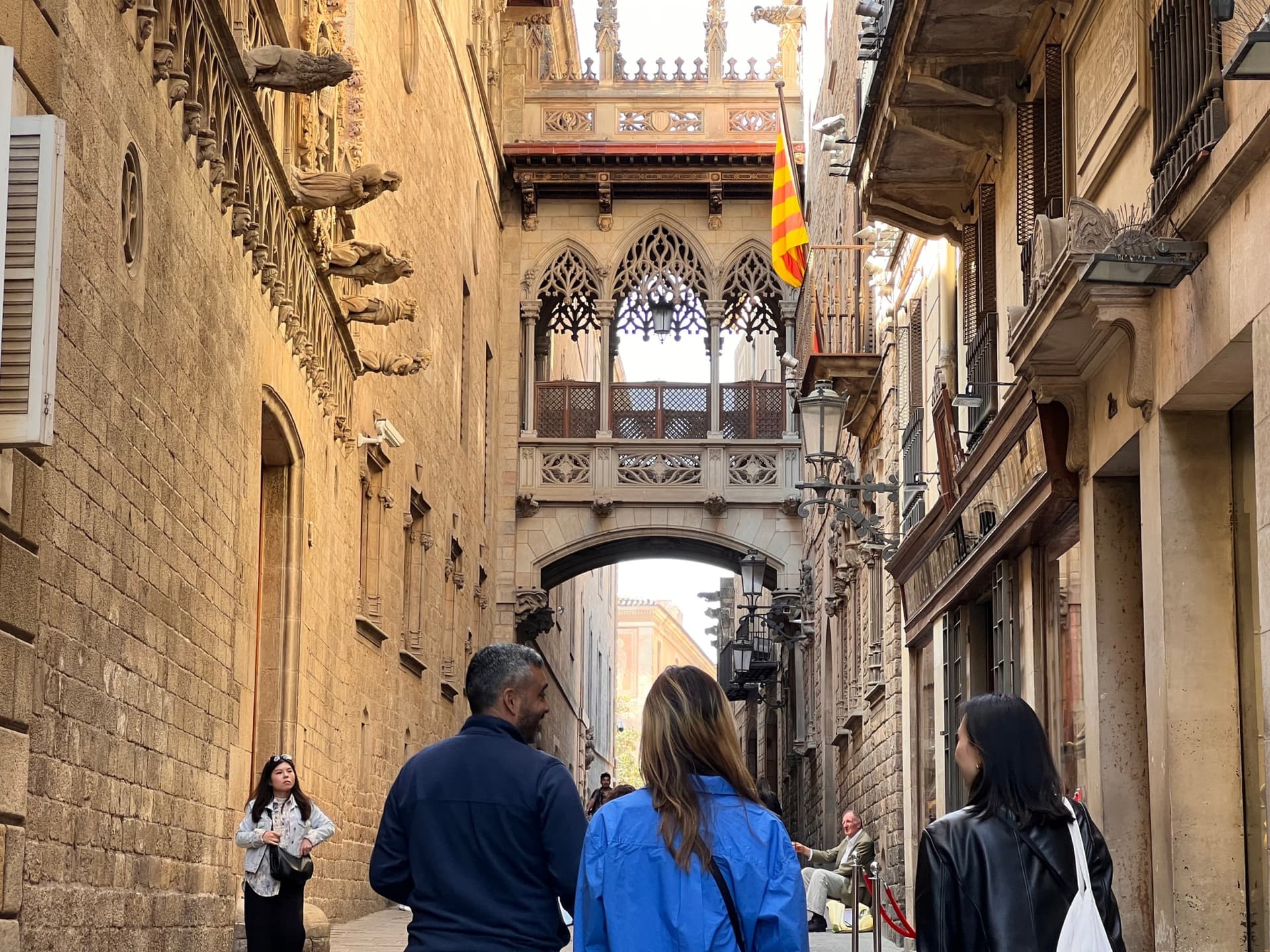 Barcelona Gothic Quarter Guided Tour - image 5